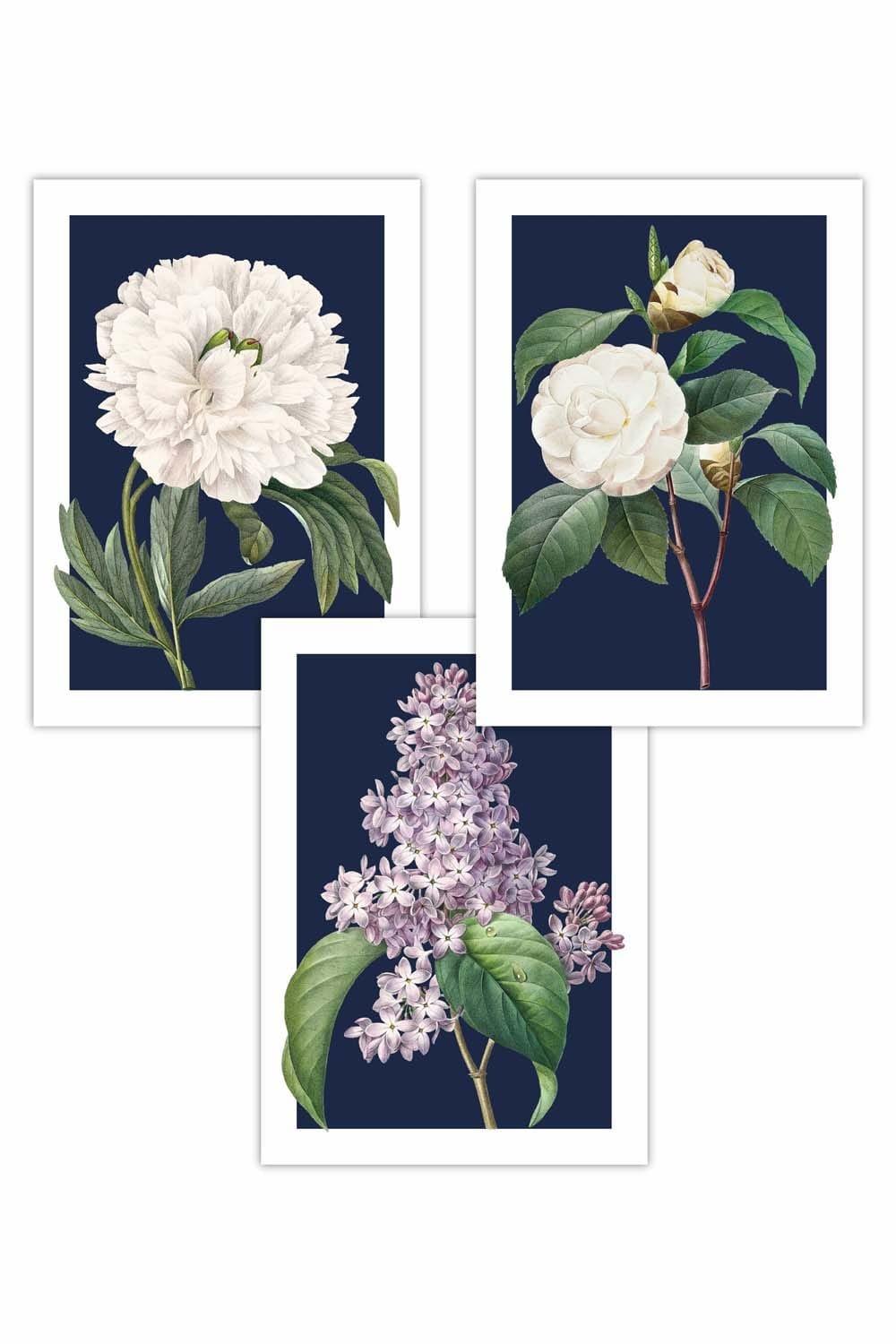 Set of 3 Vintage Flowers Lilac, Peony and Camellia on Navy Blue Art Posters