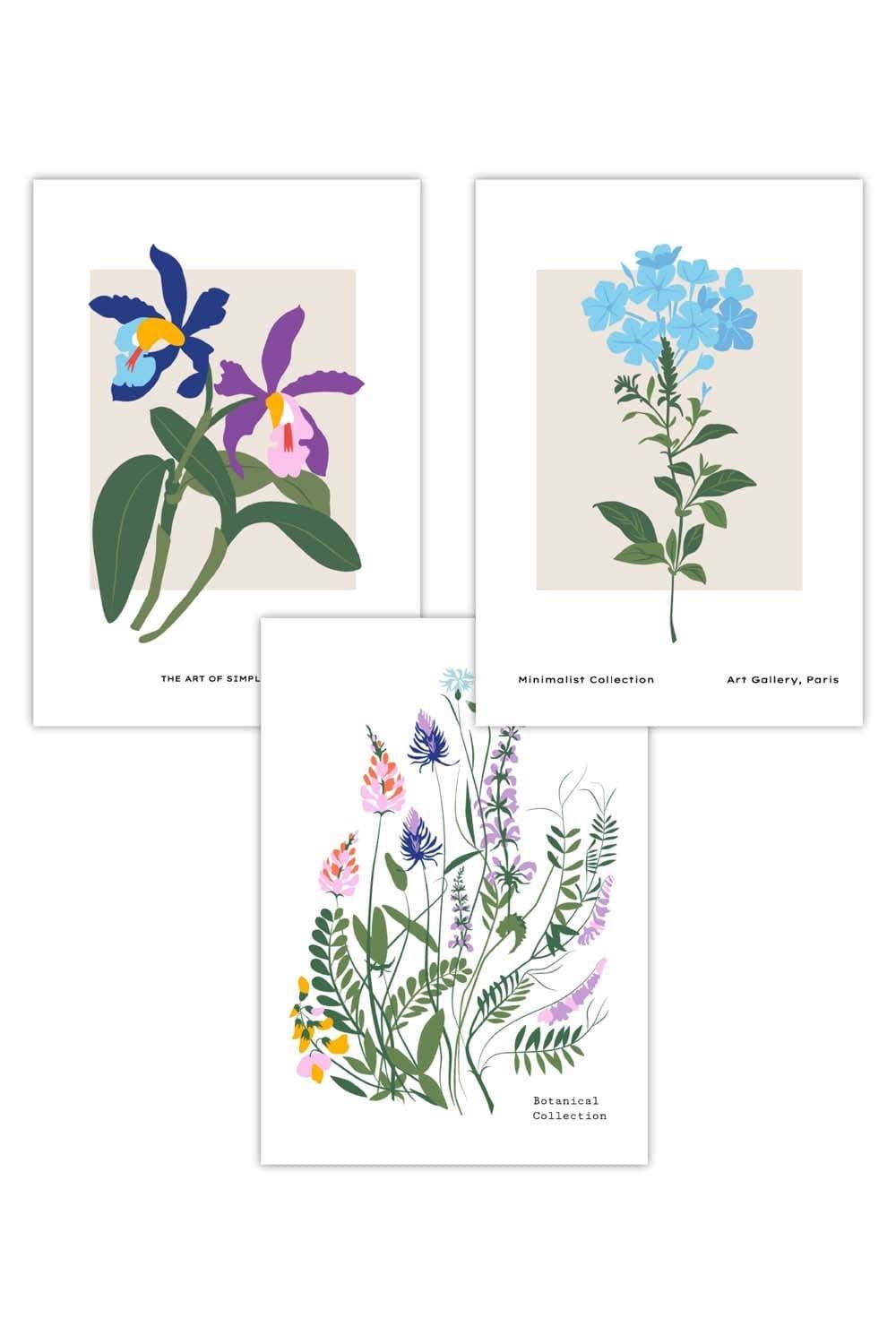 Set of 3 Vintage Graphical Colourful Wild Flower Market Art Posters
