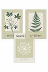 ARTZE Set of 3 Vintage Graphical Green Botanical Art Posters thumbnail 1