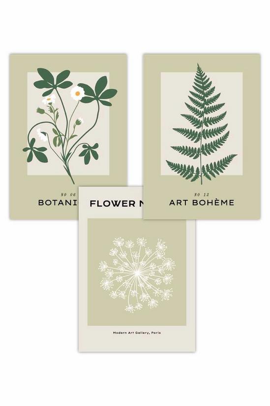 ARTZE Set of 3 Vintage Graphical Green Botanical Art Posters 1