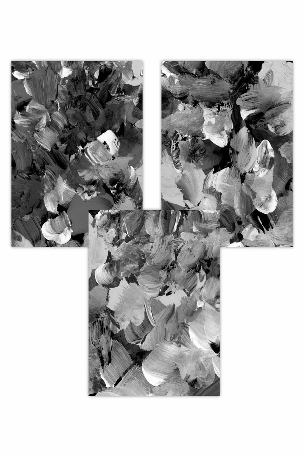 Set of 3 Abstract Wild Garden Flowers in Black and Grey Art Posters