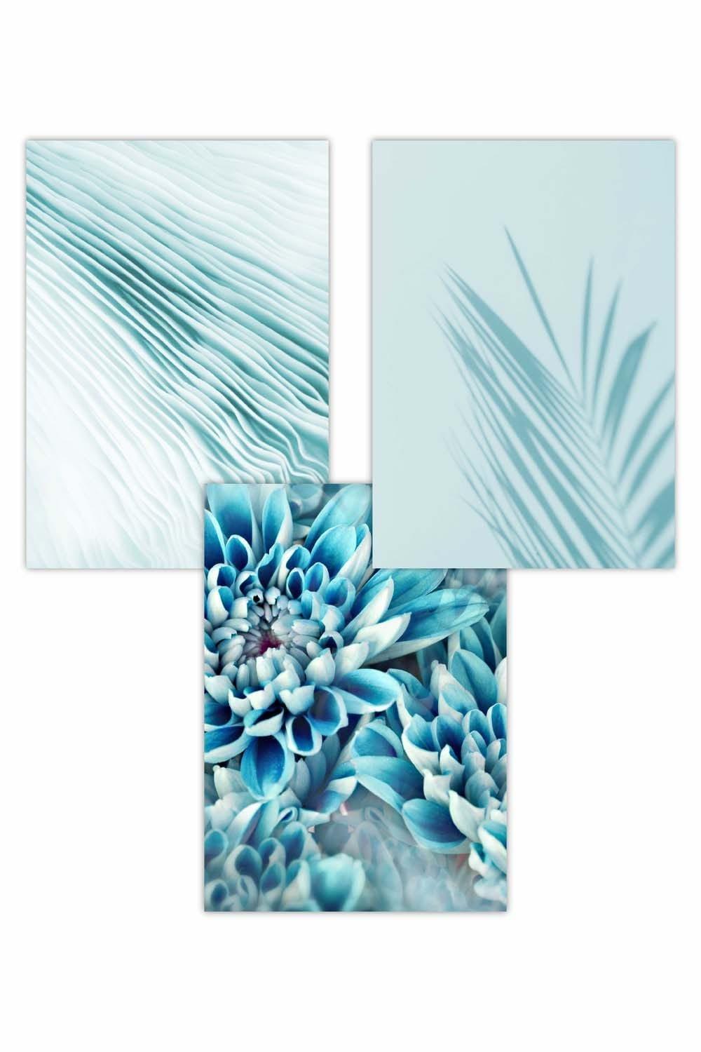 Set of 3 Abstract Aqua Blue Macro Floral Art Posters