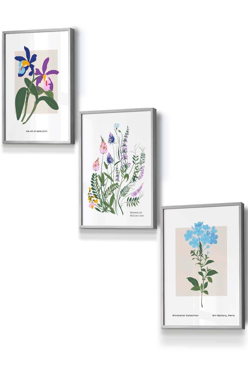 Set of 3 Light Grey Framed Vintage Graphical Colourful Wild Flower Market Wall Art