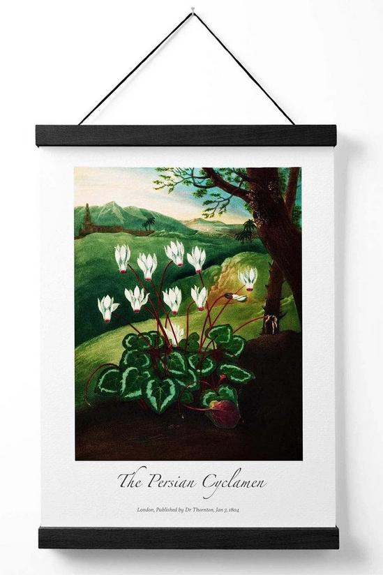 ARTZE Vintage Floral Exhibition -  Cyclamen Flowers Poster with Black Hanger 1