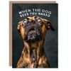 Artery8 Artery8 Birthday Card Shocked Dog Photo Funny Joke Animal Arty Art All Occasion Greeting Card thumbnail 1