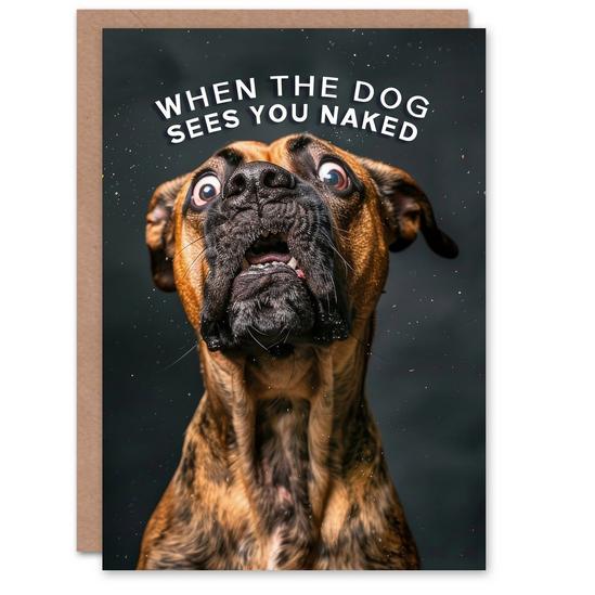 Artery8 Artery8 Birthday Card Shocked Dog Photo Funny Joke Animal Arty Art All Occasion Greeting Card 1