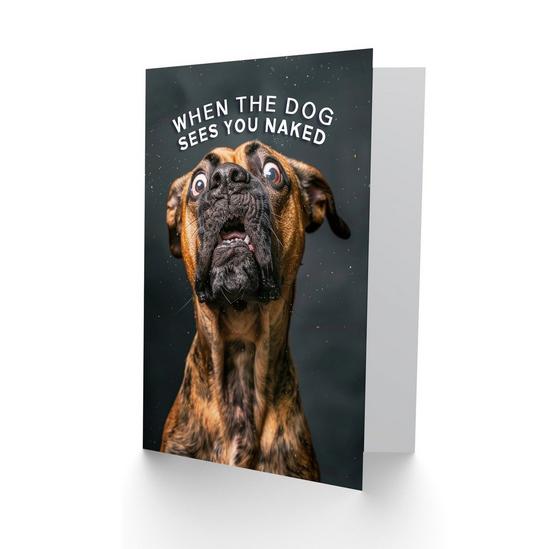 Artery8 Artery8 Birthday Card Shocked Dog Photo Funny Joke Animal Arty Art All Occasion Greeting Card 2