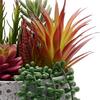 Country Living Artificial Succulent Plant Trailing in a White Pot thumbnail 2