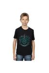 Harry Potter Slytherin Distressed Cotton T-Shirt thumbnail 4