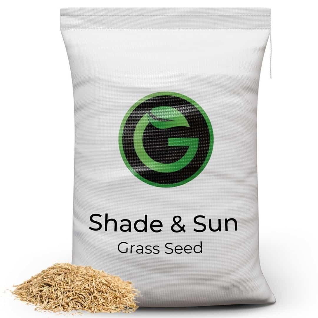 Shade and Sun Grass Seed for Shaded Areas
