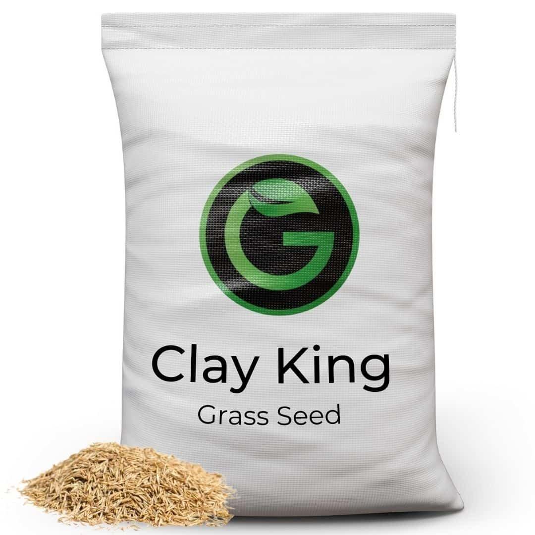 Clay King Grass Seed for Clay Soil