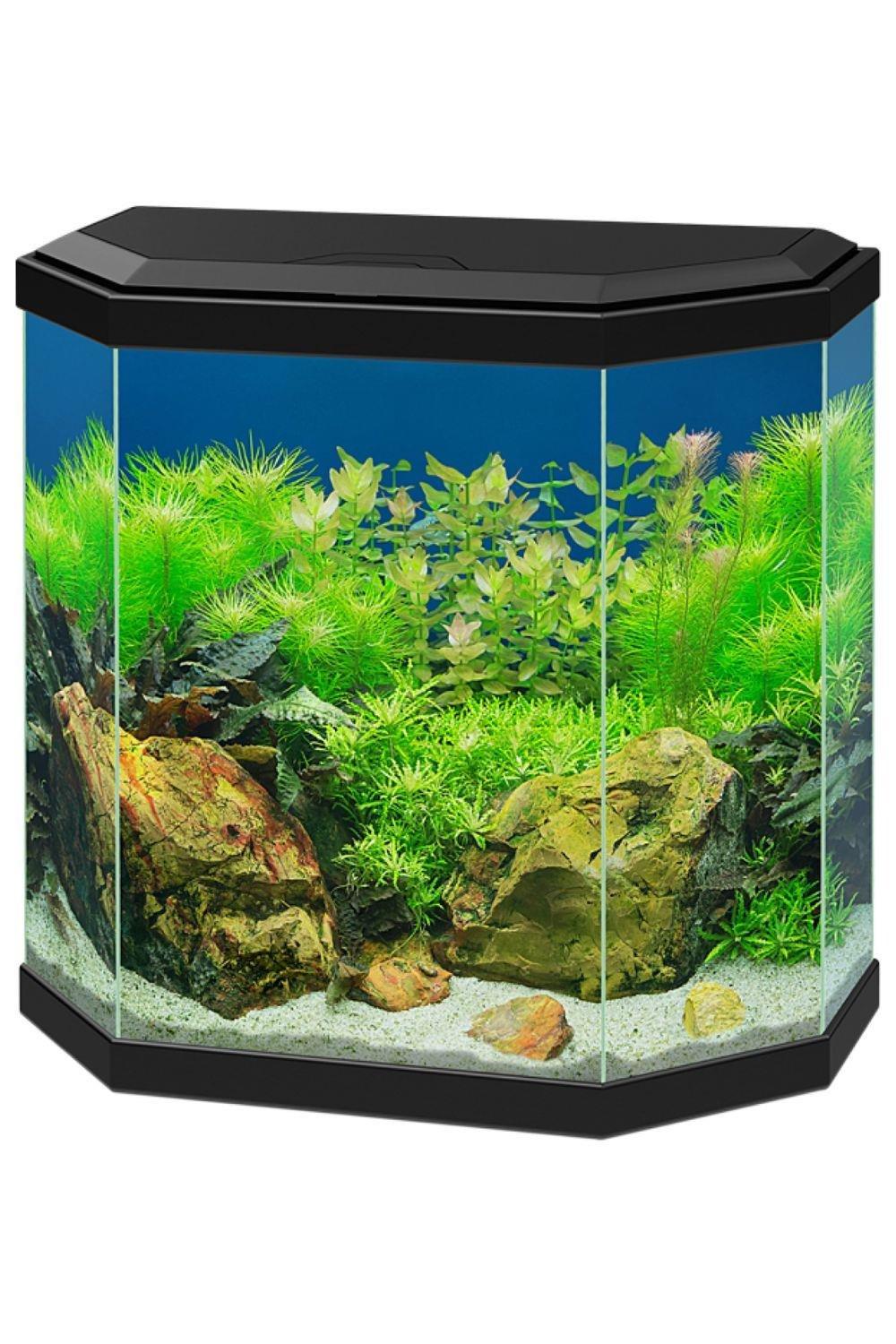 Aqua 30 Aquarium 25L Fish Tank with LED Light