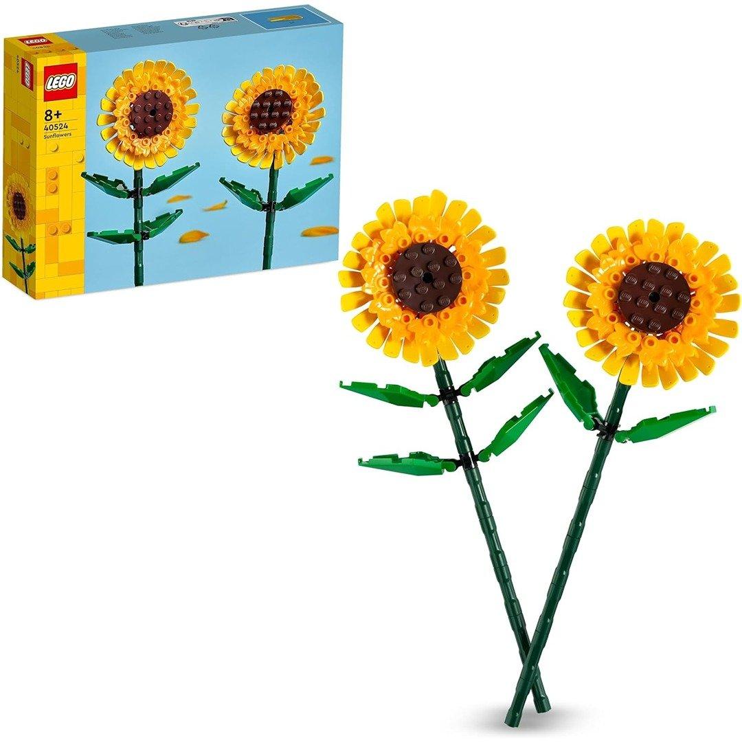 40524 Creator   Sunflowers