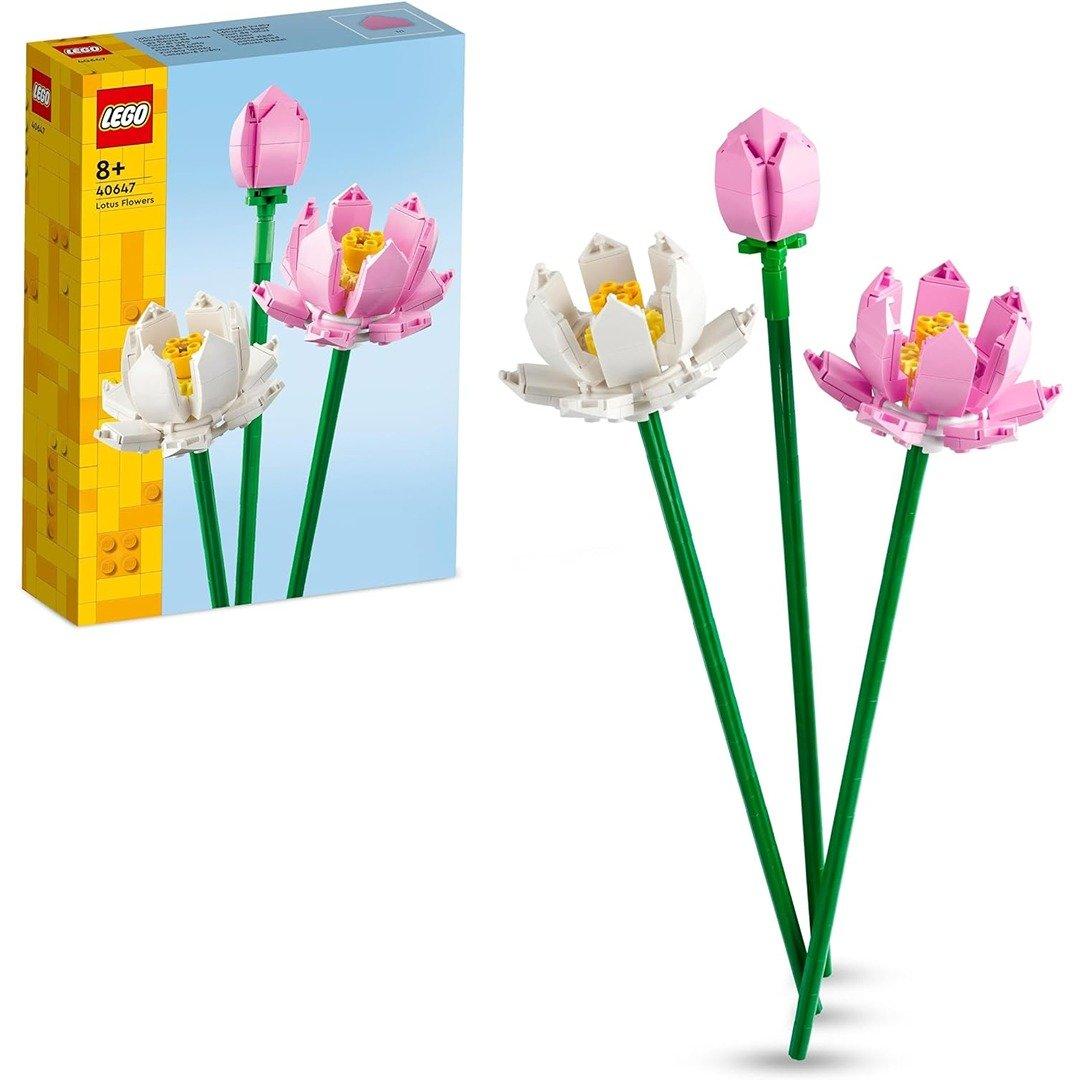 40647 Creator   Lotus Flowers