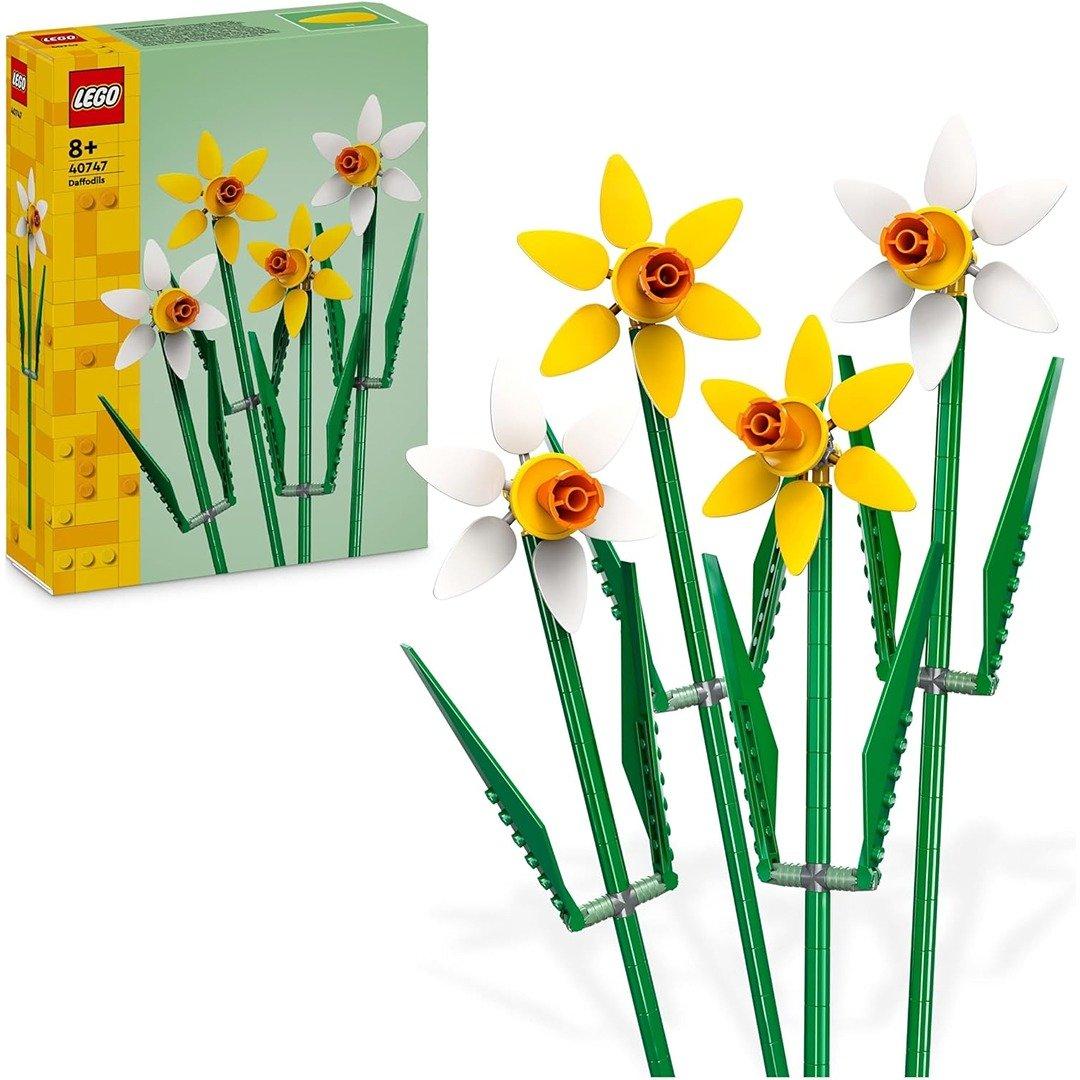 40747 Creator   Daffodils