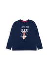 Threadgirls Long Sleeve Cotton 'Deer' Christmas Pyjama Set thumbnail 3