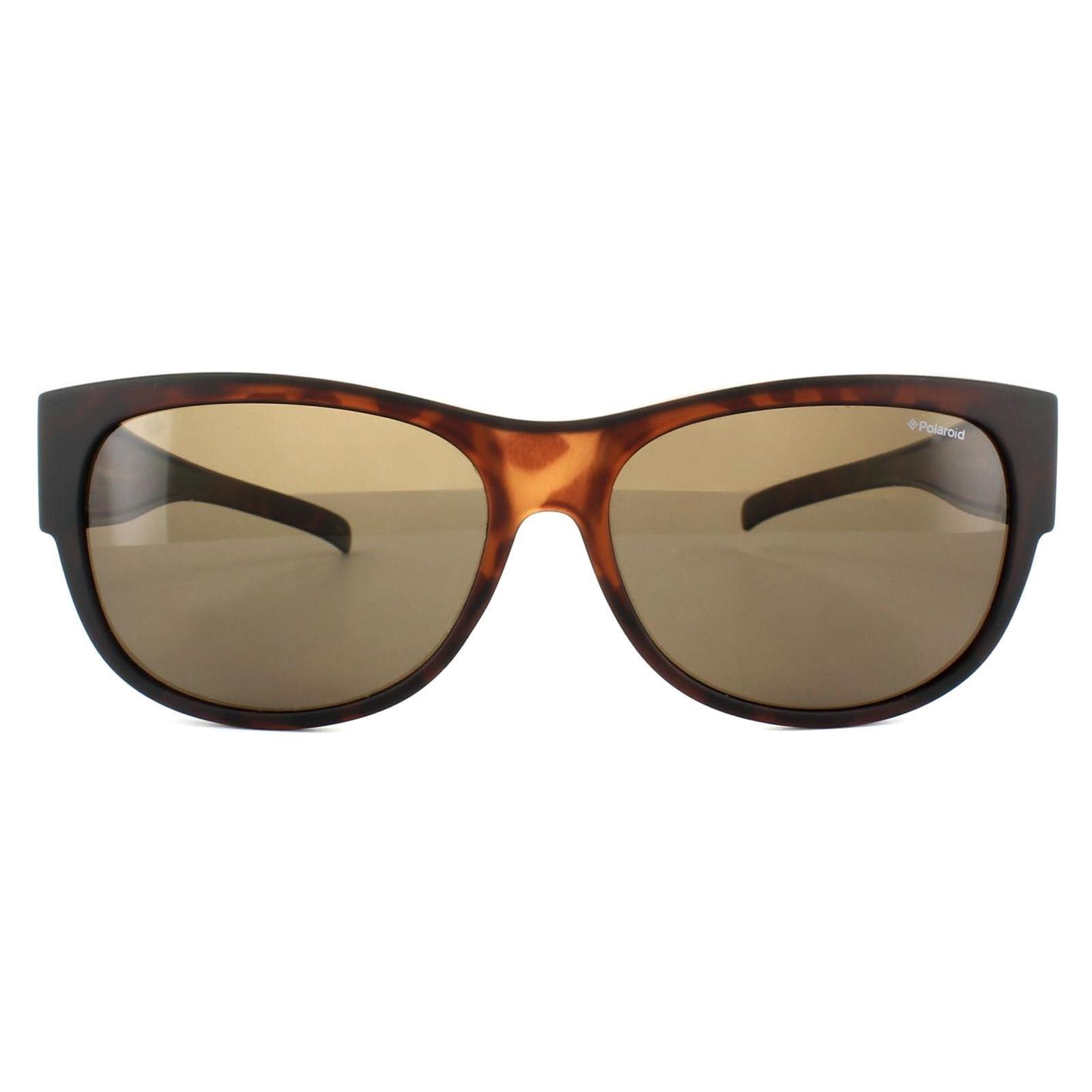 Suncovers Oval Dark Havana Brown Polarized Sunglasses