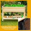 Costway Raised Garden Bed Wood Elevated Planter Bed w/Lockable Wheels Shelf & Liner thumbnail 2