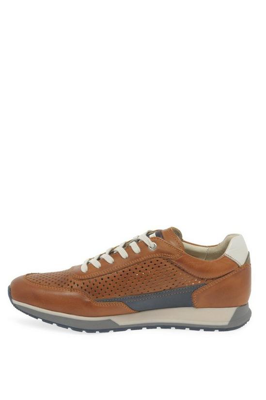 Pikolinos 'Camino' Leather Trainers 2