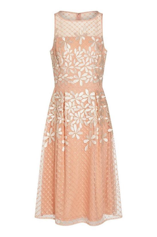 Adrianna Papell Embroidered Fit And Flare 5
