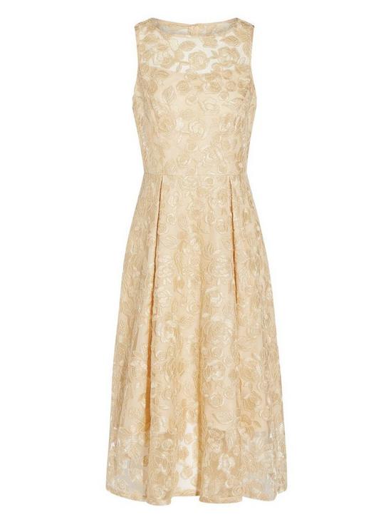 Adrianna Papell Embroidered Tea Length Dress 5