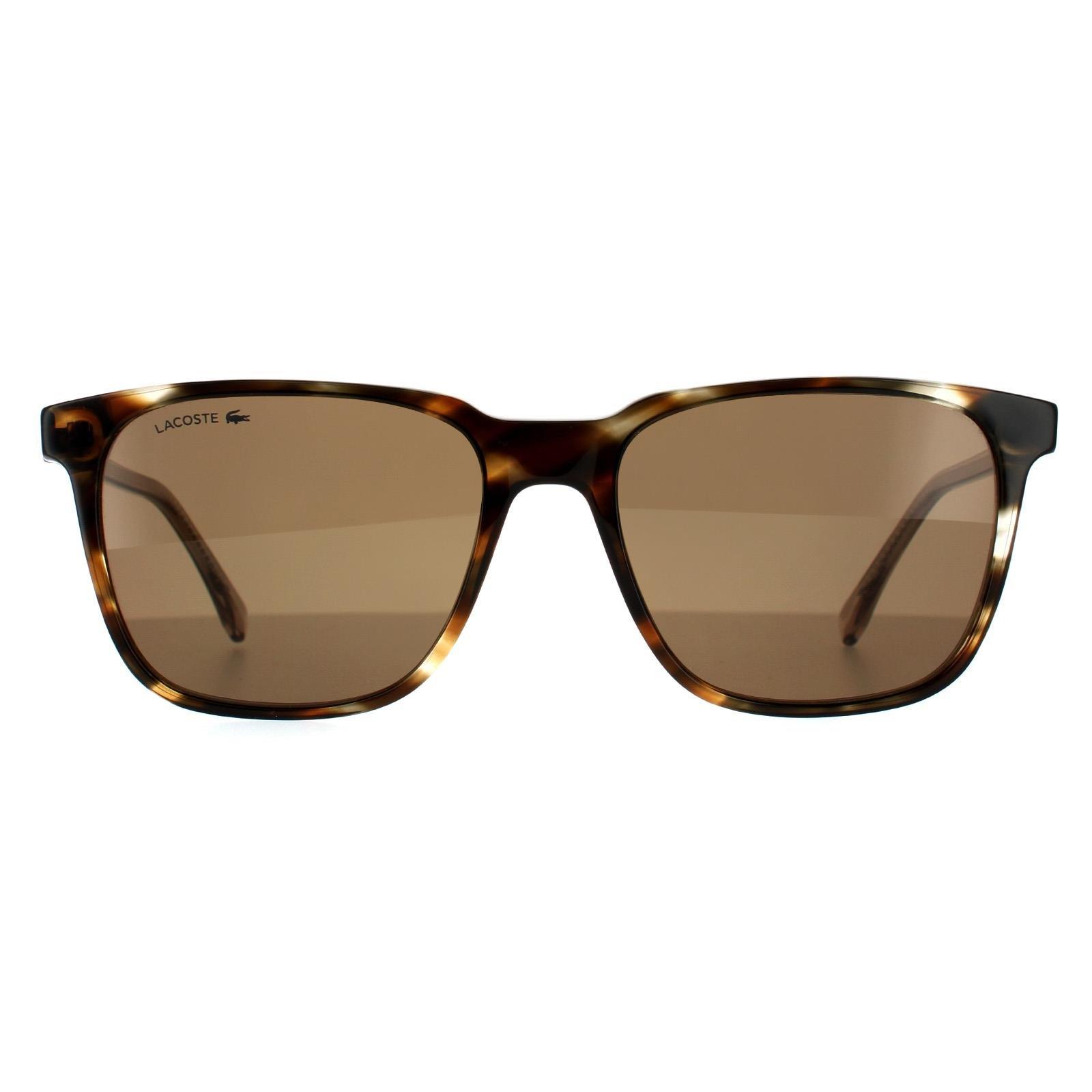 Square Havana Brown Sunglasses
