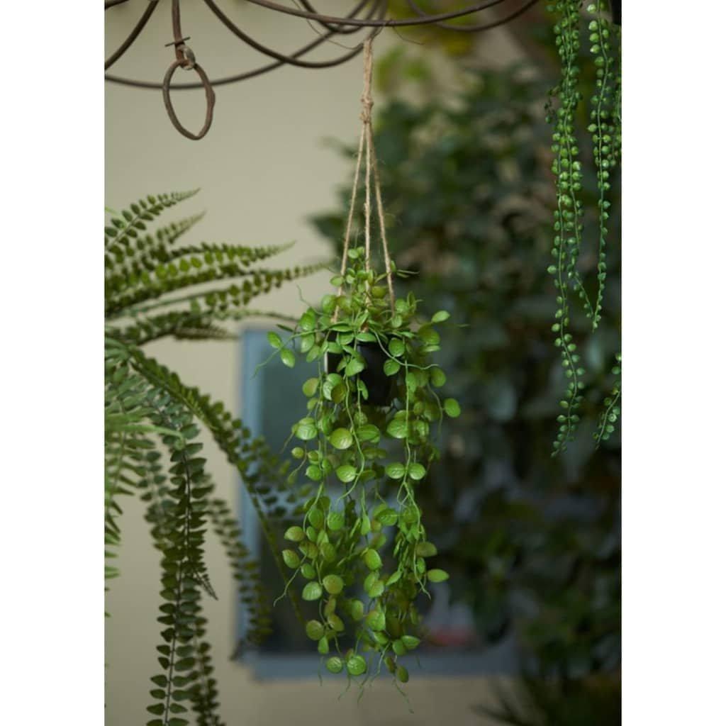 Emerald Artificial Ceropegia Hanging Bush 50 cm in Pot
