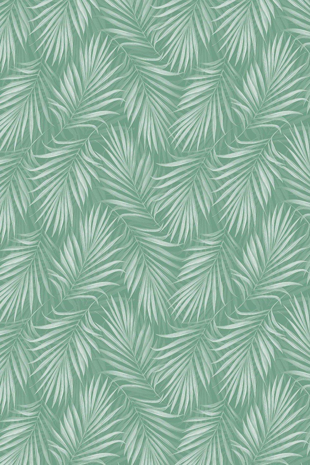 Eco-Friendly Tropical Areca Palm Wallpaper