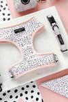 Cocopup Medium Pink Dalmatian Adjustable Neck Harness & Collar Set thumbnail 1