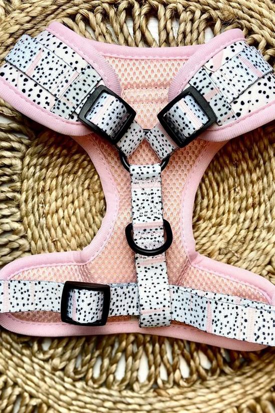 Cocopup Medium Pink Dalmatian Adjustable Neck Harness & Collar Set 2