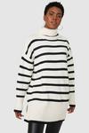 Principles Stripe Roll Neck Wool Mix Knitted Jumper thumbnail 1