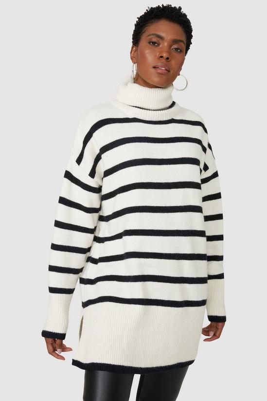 Principles Stripe Roll Neck Wool Mix Knitted Jumper 1