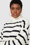Principles Stripe Roll Neck Wool Mix Knitted Jumper thumbnail 3