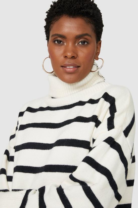 Principles Stripe Roll Neck Wool Mix Knitted Jumper 3