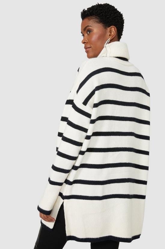 Principles Stripe Roll Neck Wool Mix Knitted Jumper 4