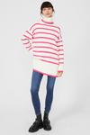 Principles Stripe Roll Neck Wool Mix Knitted Jumper thumbnail 2