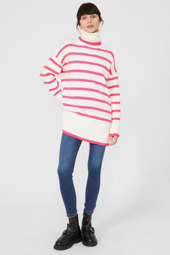 Principles Stripe Roll Neck Wool Mix Knitted Jumper 2