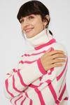 Principles Stripe Roll Neck Wool Mix Knitted Jumper thumbnail 3