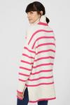 Principles Stripe Roll Neck Wool Mix Knitted Jumper thumbnail 4