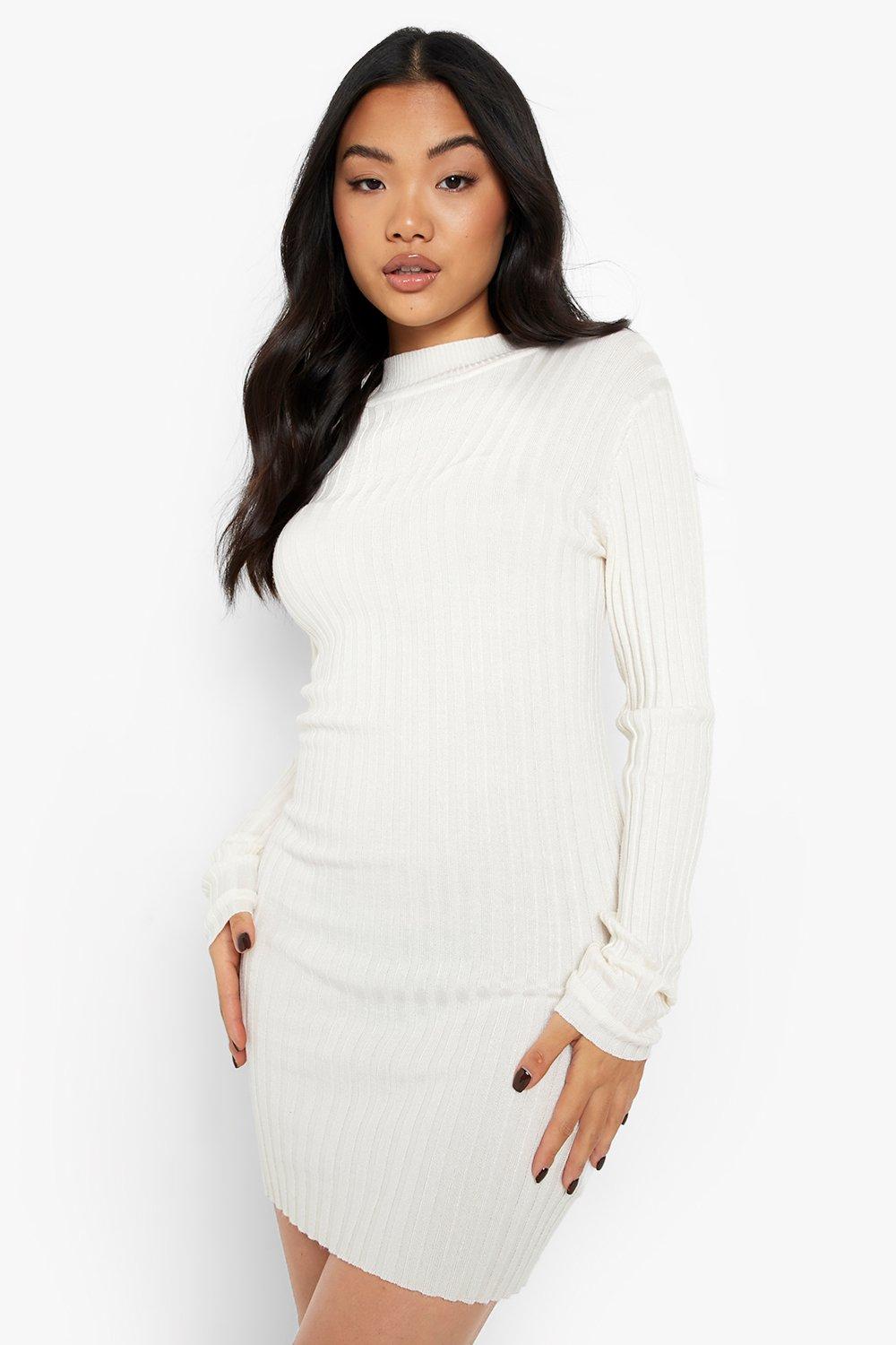 Recycled Petite Roll Neck Jumper Dress