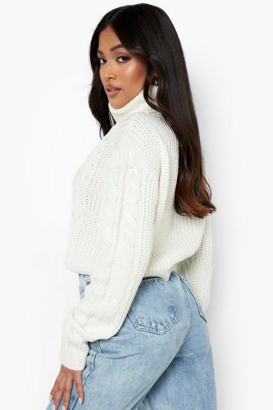 boohoo Petite Cable Pom Pom Roll Neck Crop Jumper 2