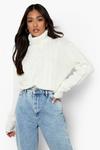 boohoo Petite Cable Pom Pom Roll Neck Crop Jumper thumbnail 4