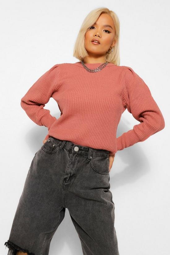 boohoo Petite Crew Neck Knitted Jumper 1