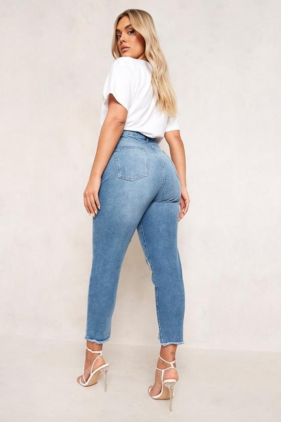 boohoo Plus Ripped Distressed High Waist Mom Jeans 2