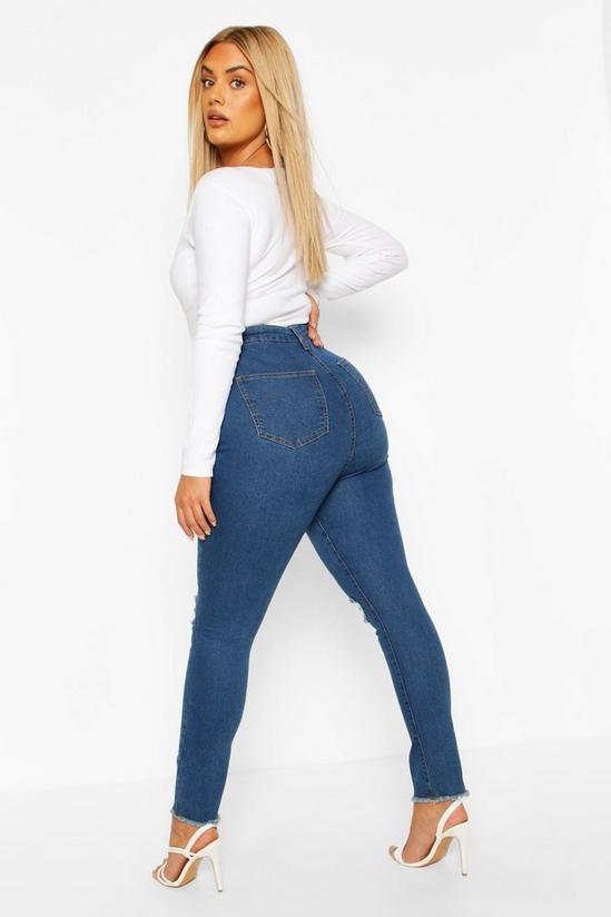 boohoo Plus Denim Rip Knee & Frayed Hem Skinny Jeans 2