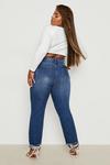 boohoo Plus Distressed High Waisted Mom Jeans thumbnail 2