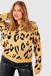 boohoo Plus Leopard Knitted Jumper thumbnail 4