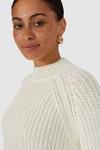 Red Herring Cotton Relaxed Jumper thumbnail 3