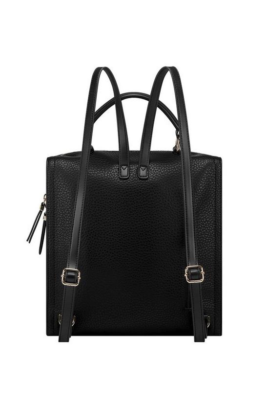 Fiorelli Anna Large Backpack 3