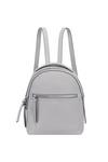 Fiorelli Anouk Faux Leather Backpack thumbnail 1